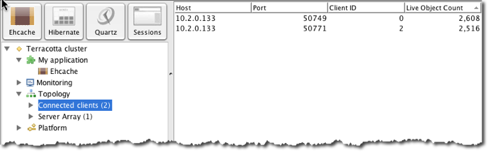 Terracotta Developer Console clients list.