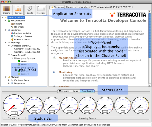Terracotta Developer Console connected to a cluster.