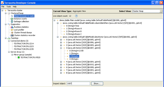 Terracotta Developer Console cluster object browser.