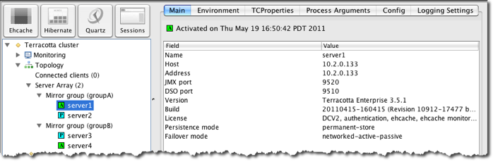 Terracotta Developer Console main servers panel.