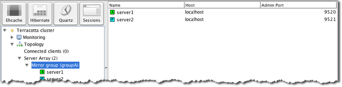 Terracotta Developer Console servers table.