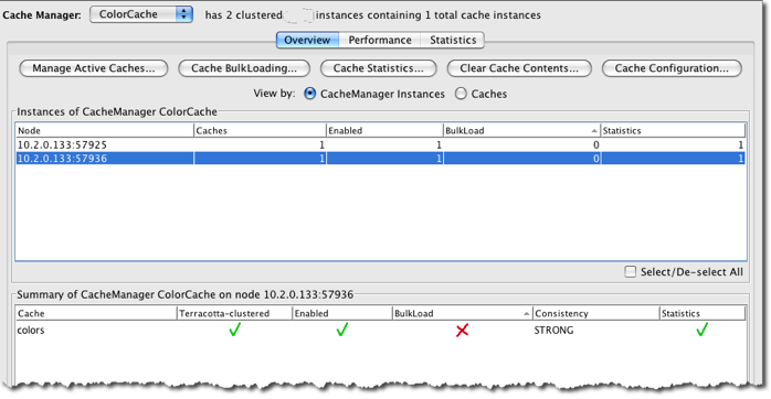 Terracotta Developer Console Ehcache Overview Panel
