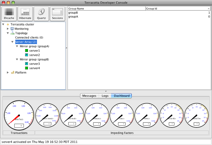 Terracotta Developer Console mirror groups.