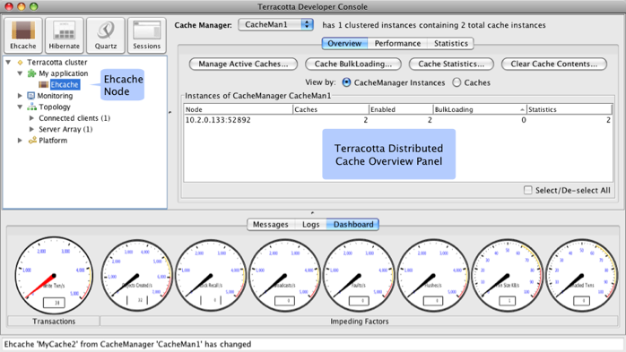 Terracotta Developer Console With Ehcache Node